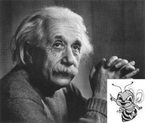 einstein e ape