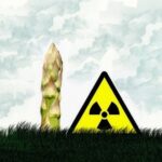 asparago denuclearizzato