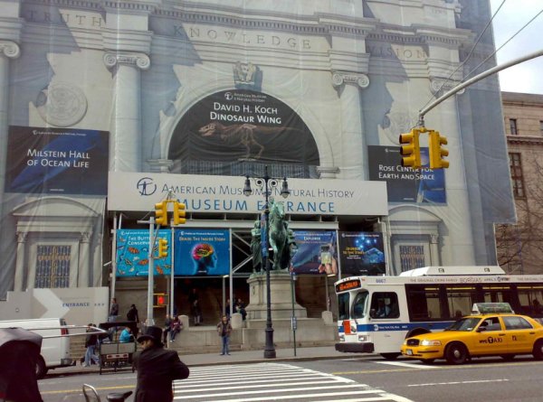 museo storia naturale