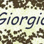 Giorgio