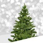 christmas-2976355_640